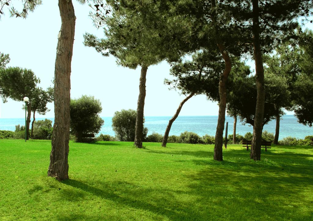 Ранни зписвания за ТОП сезон през 2020 на 1-ва линия в Геракини, Халкидики, Гърция! Нощувка в самостоятелна къщичка с капацитет от 4 до 6 човека от комплекс Trikorfo Beach - Снимка 4