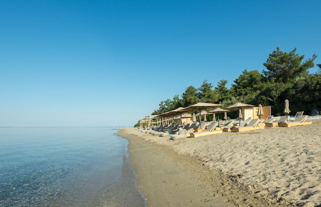 Ранни зписвания за ТОП сезон през 2020 на 1-ва линия в Геракини, Халкидики, Гърция! Нощувка в самостоятелна къщичка с капацитет от 4 до 6 човека от комплекс Trikorfo Beach - Снимка 13