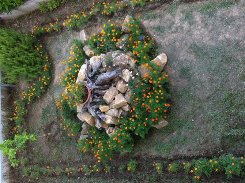 Loxandra Studios - Снимка 11