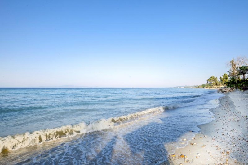 Avatel Eco Lodge - Снимка 4