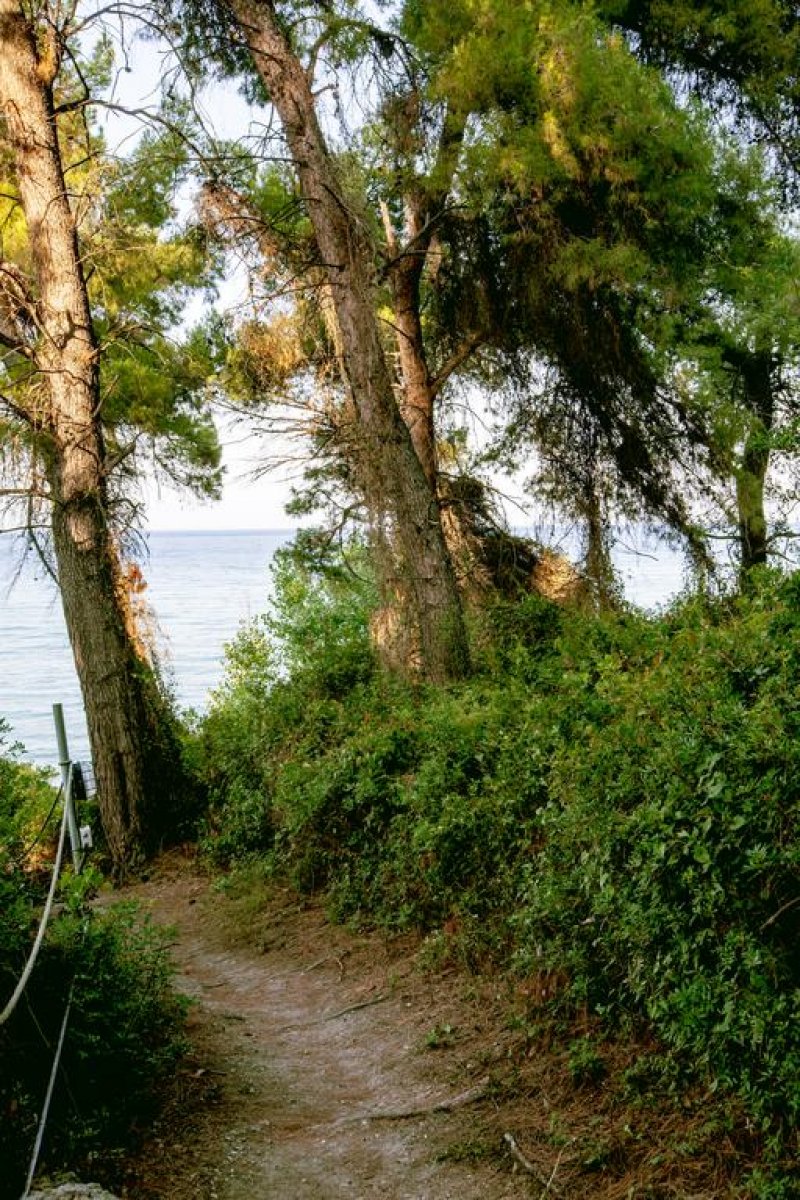 Avatel Eco Lodge - Снимка 5