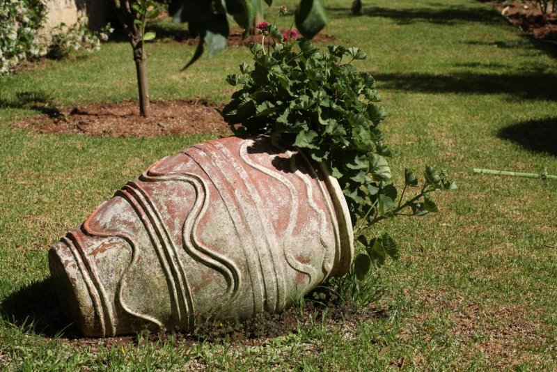 Paradise Inn Hotel - Снимка 1