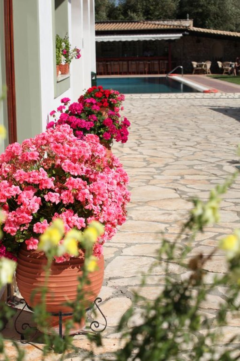 Paradise Inn Hotel - Снимка 7