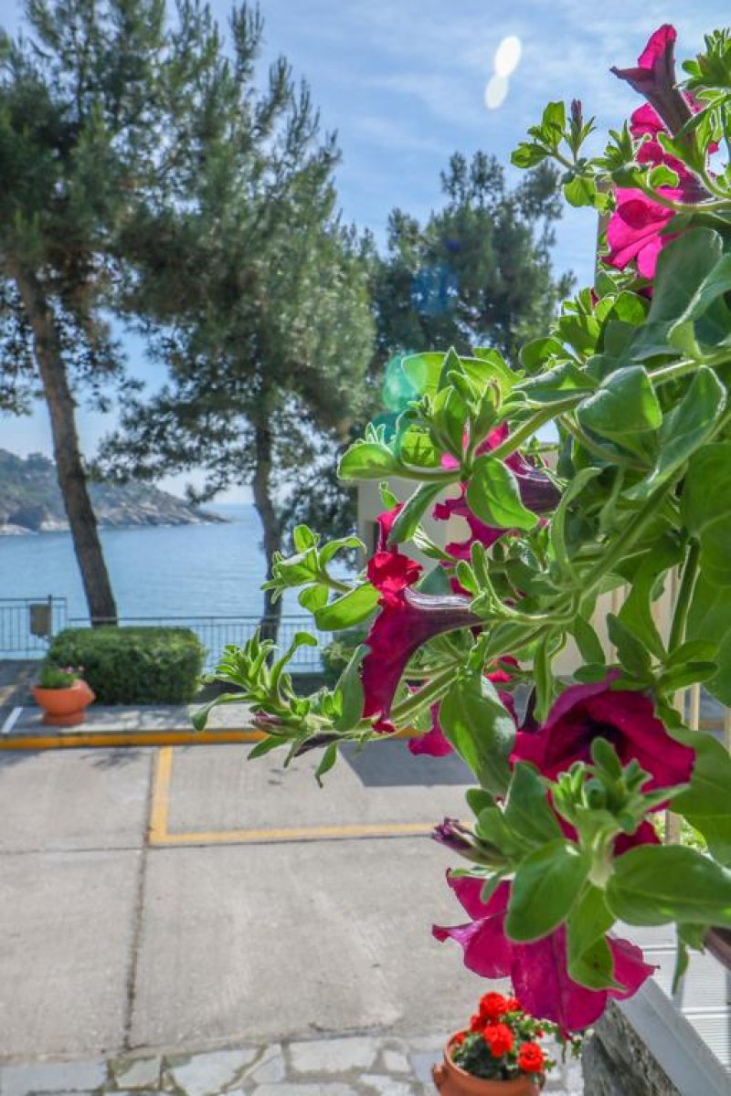 Bomo Club Tosca Beach - Снимка 7