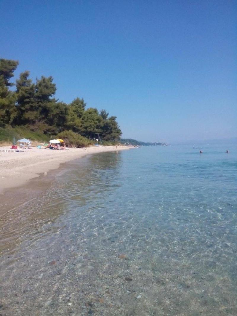 Pashos Hotel - Снимка 9