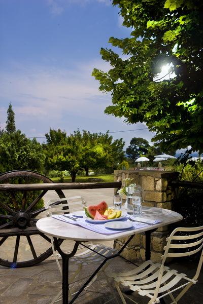 Септември в Халкидики, Гърция! Нощувка със закуска и вечеря + басейн в хотел Pashos***, Криопиги - Снимка 25