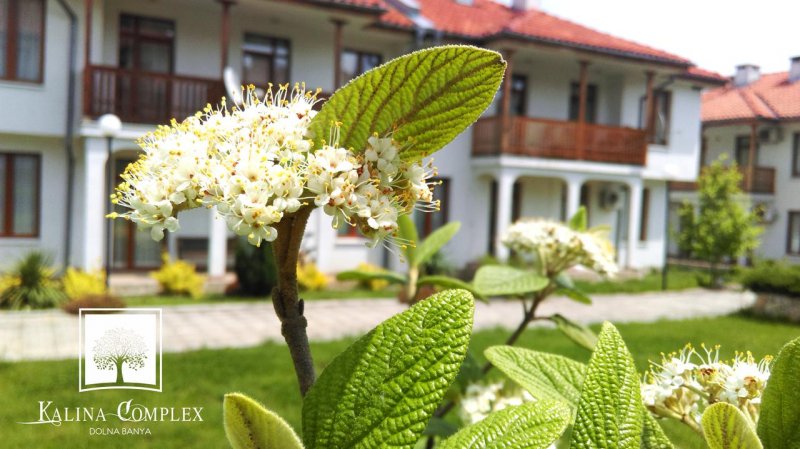 Хотел Калина - Снимка 5