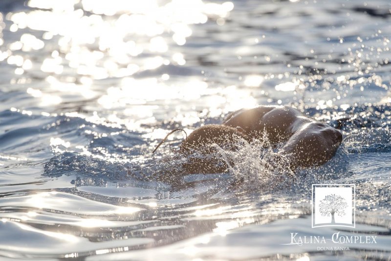 Хотел Калина - Снимка 3