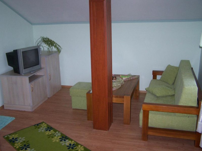 Хотел Витяз Хаус - Снимка 8