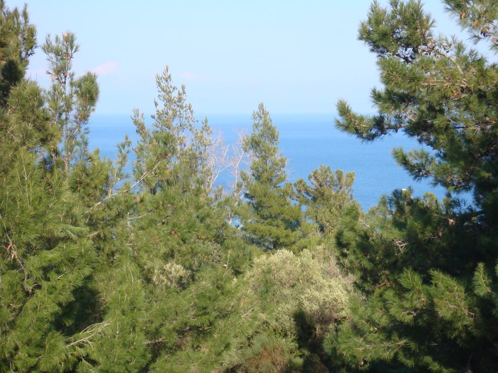 Семейна почивка през цялото лято в Калитеа,Халкидики - Гърция! Нощувка за четирима + басейн . в хотел Oceanis - Снимка 7