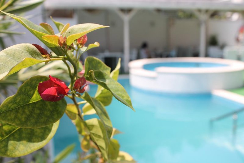 Хотел Свети Георги - Снимка 4