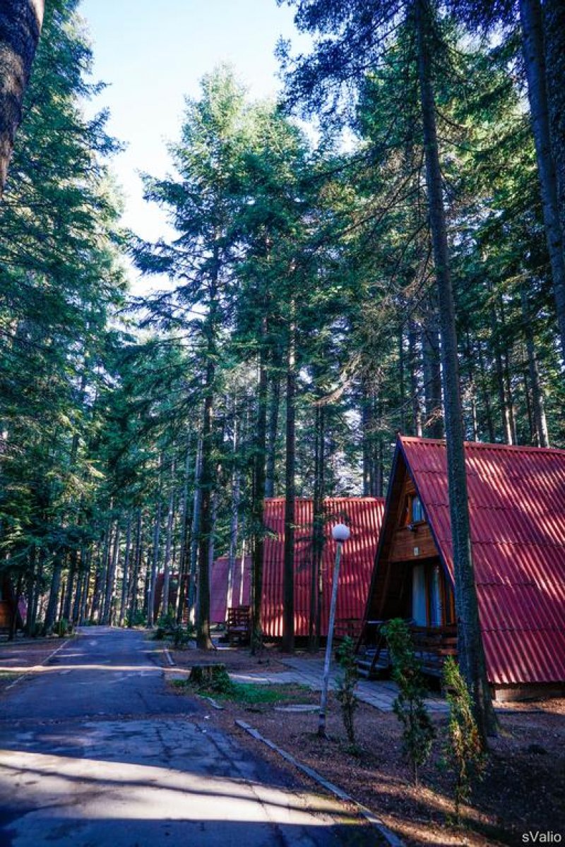 Вилно селище Ягода и Малина - Снимка 4