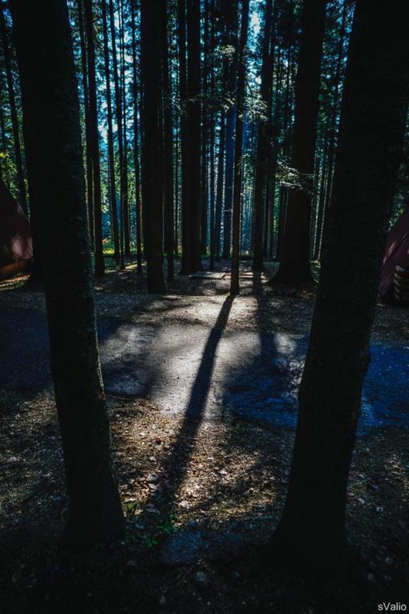 Вилно селище Ягода и Малина - Снимка 5