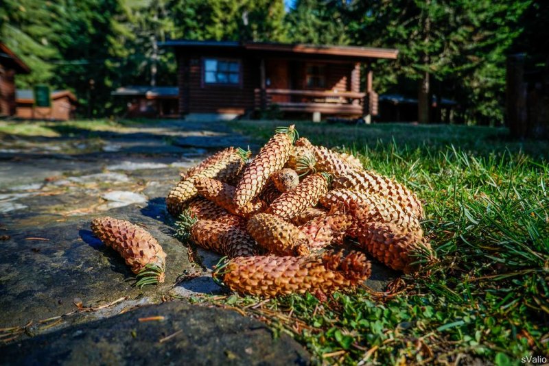 Вилно селище Ягода и Малина - Снимка 9