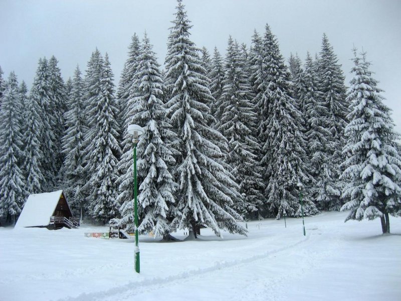 Вилно селище Малина - Снимка 9