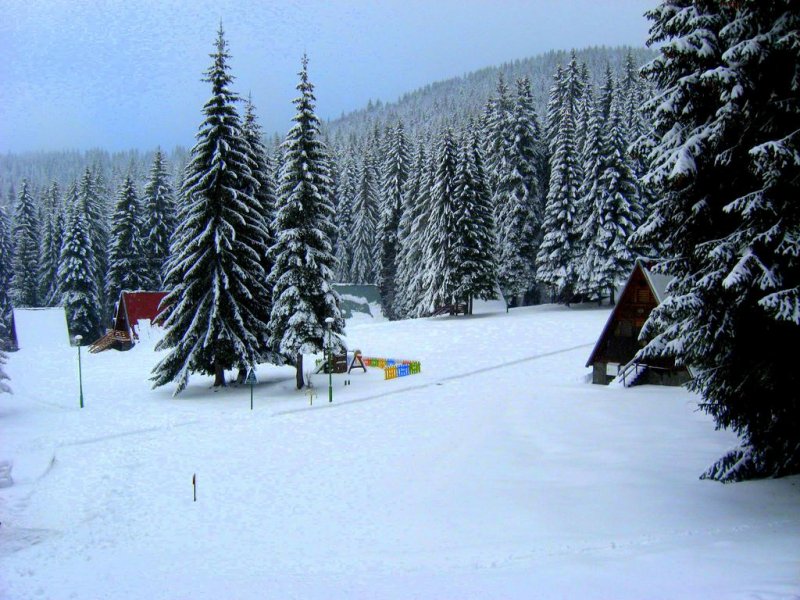 Вилно селище Малина - Снимка 2