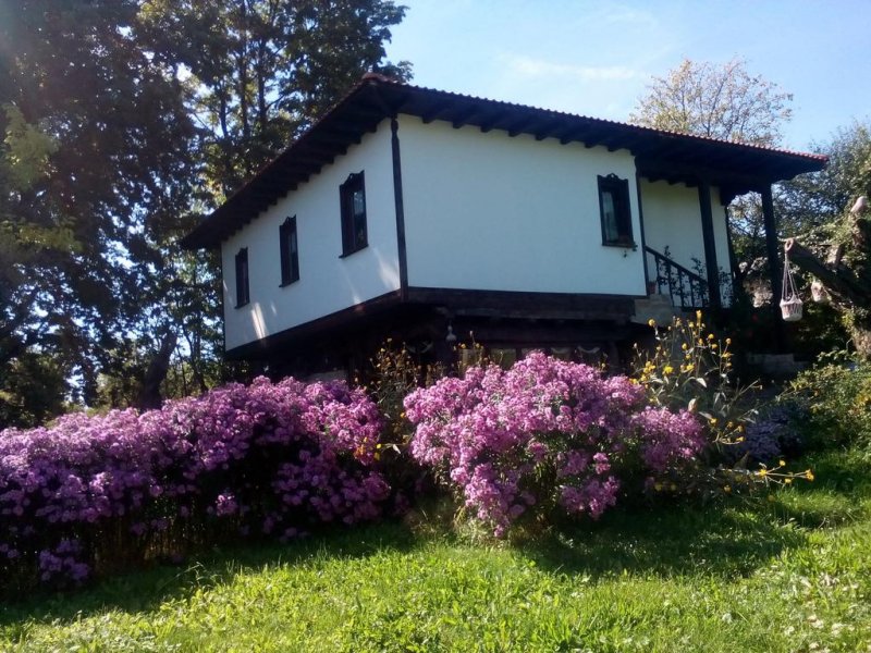 Комплекс Роден край - Снимка 4