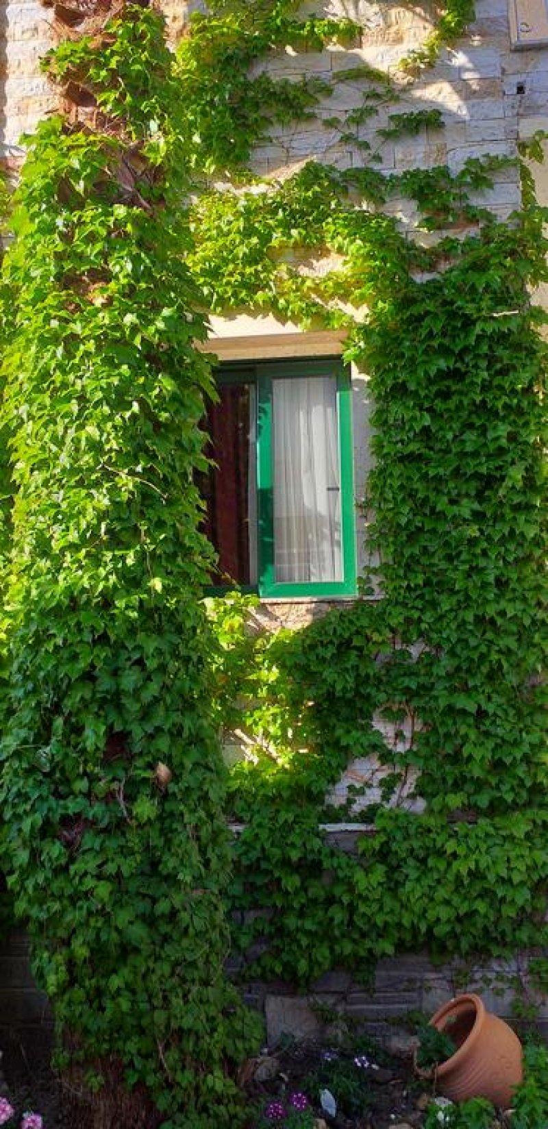 Philoxenia Spa Hotel  - Снимка 5