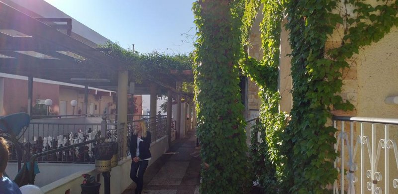 Philoxenia Spa Hotel  - Снимка 3