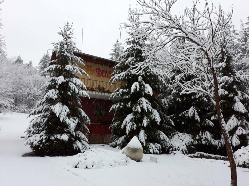 Хотел Велена - Снимка 4