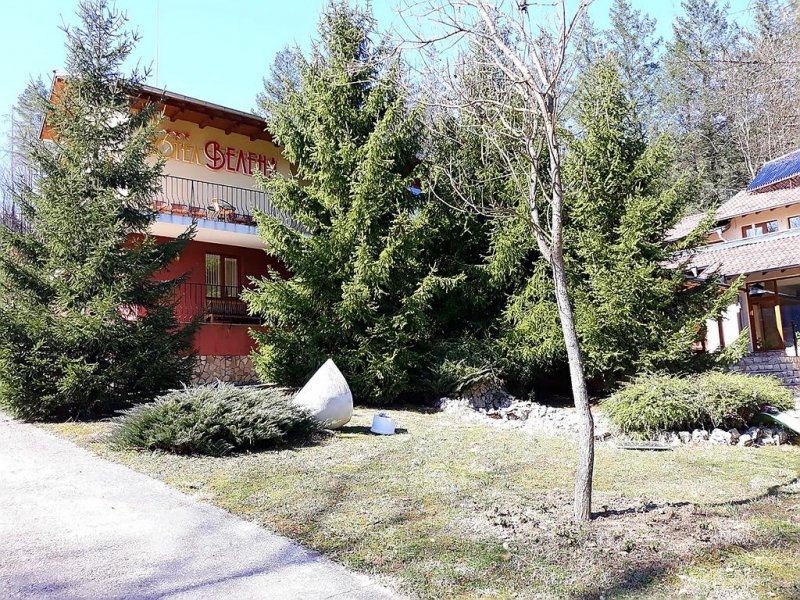 Хотел Велена - Снимка 8