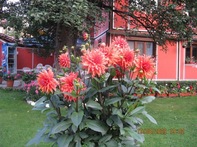 Семеен хотел Калина - Снимка 10