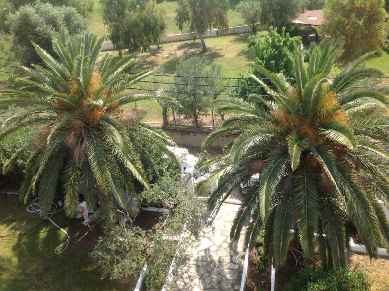 Olympic Bibis Hotel - Снимка 2