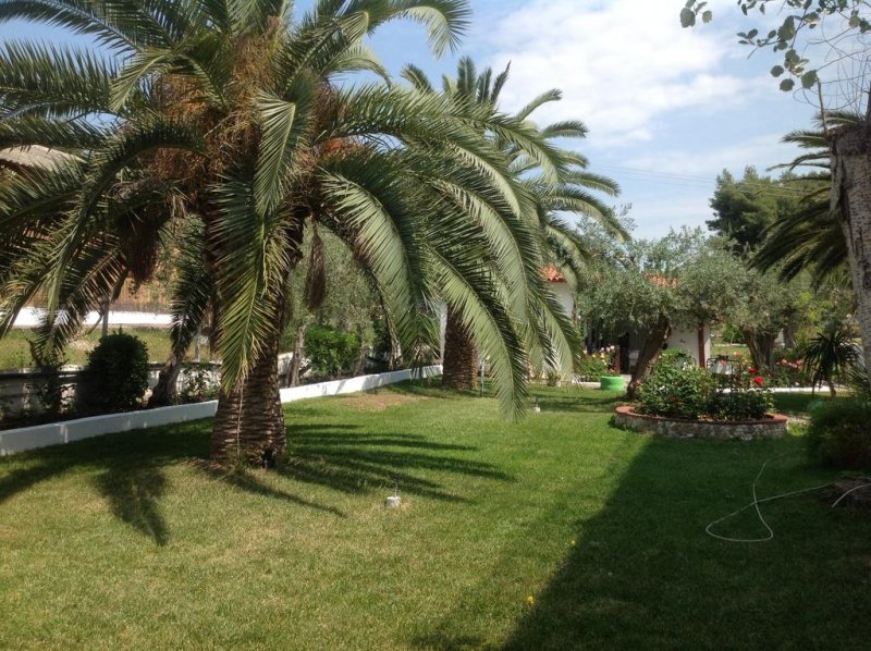 Olympic Bibis Hotel - Снимка 2