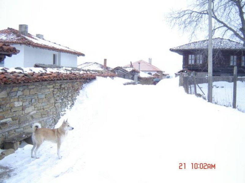 Къща за гости Кенара - Снимка 3