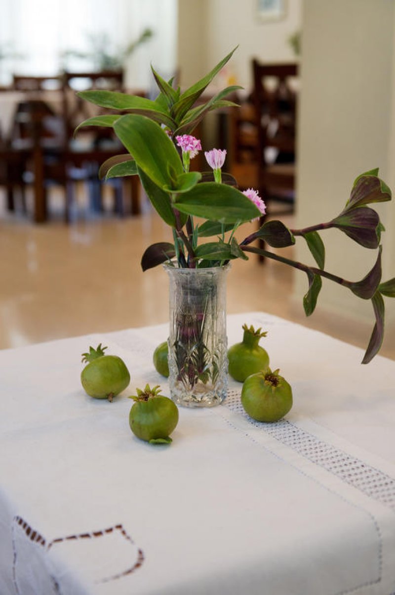 Vassiliki Bay Hotel - Снимка 11