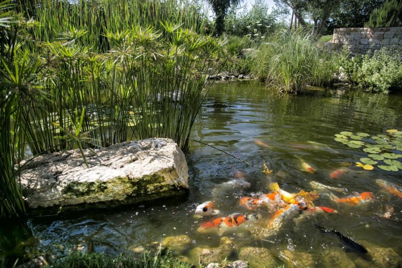 Achtis Hotel - Снимка 11