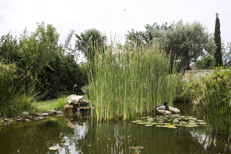 Achtis Hotel - Снимка 2