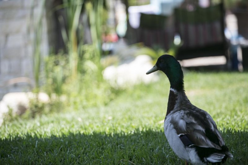 Achtis Hotel - Снимка 4