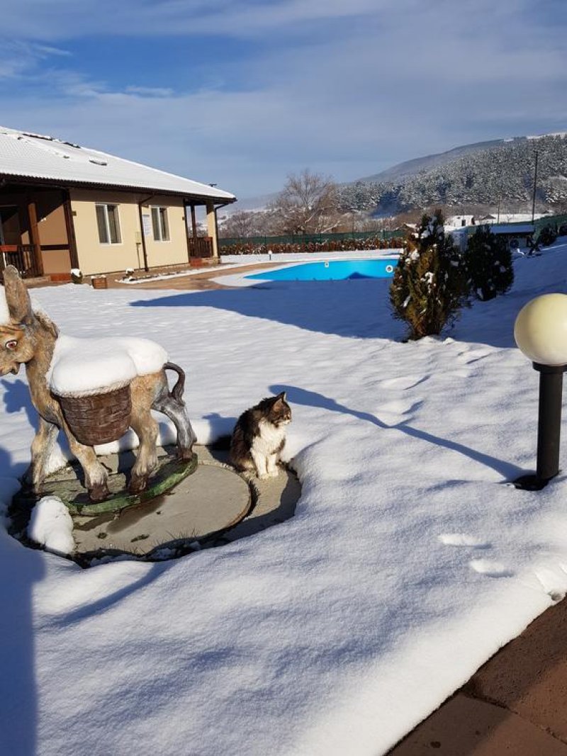 Комплекс Дарибел - Снимка 2