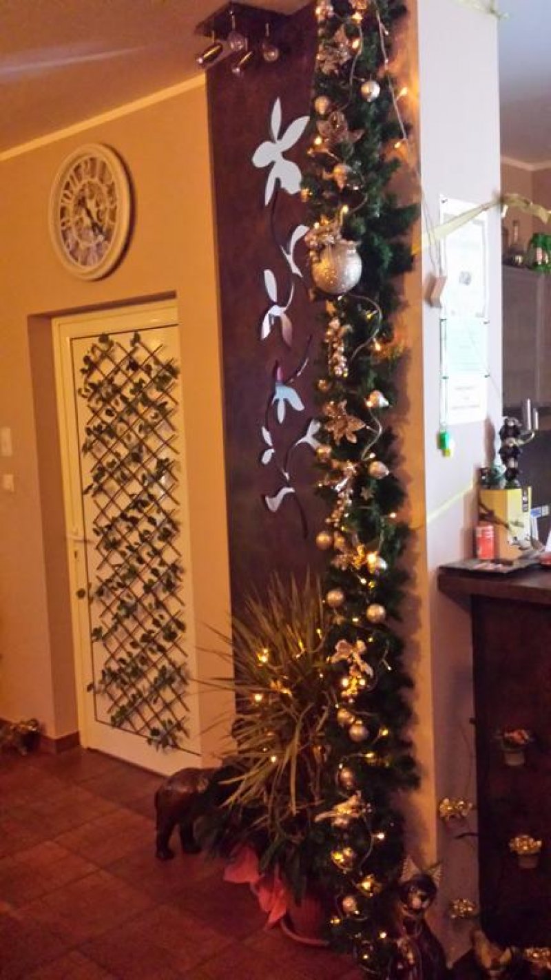 Комплекс Дарибел - Снимка 10