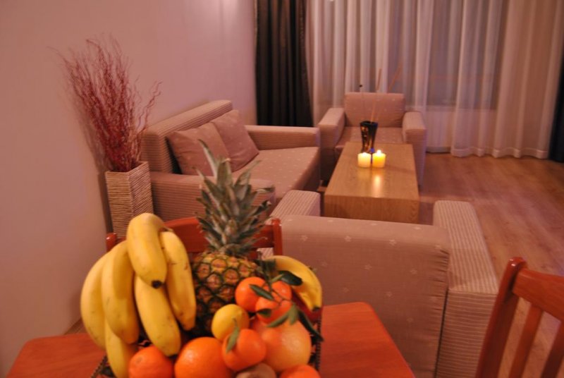 Апарт Хотел Адеона Ски и СПА - Снимка 2