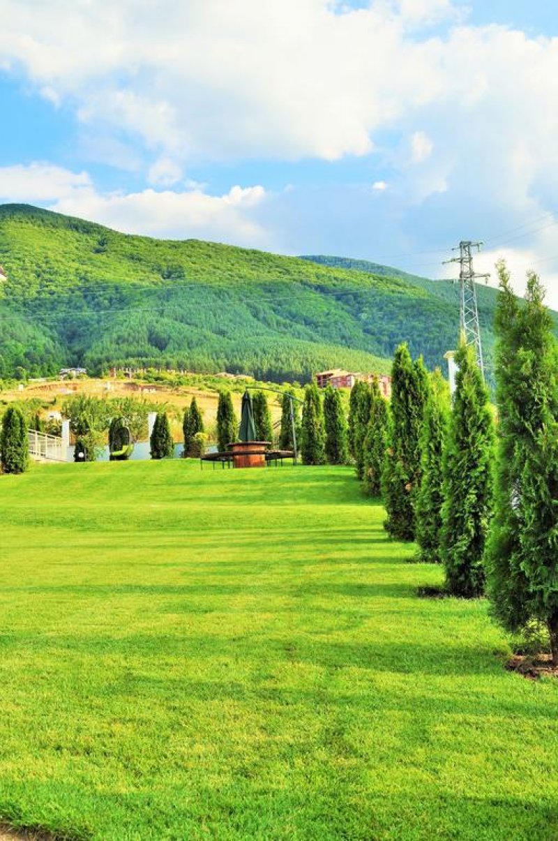 Къщи за гости Викея - Снимка 5