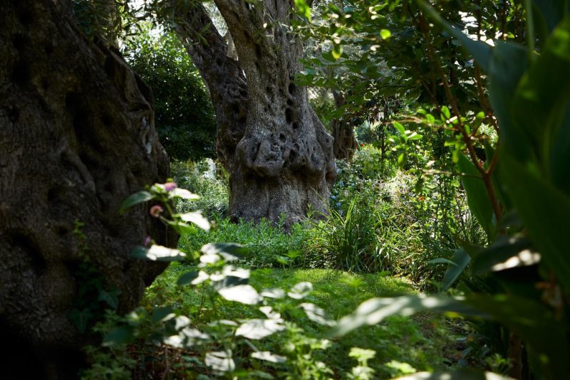 Parga Beach Resort - Снимка 10