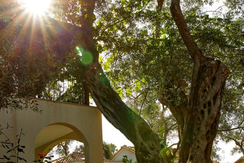 Parga Beach Resort - Снимка 4