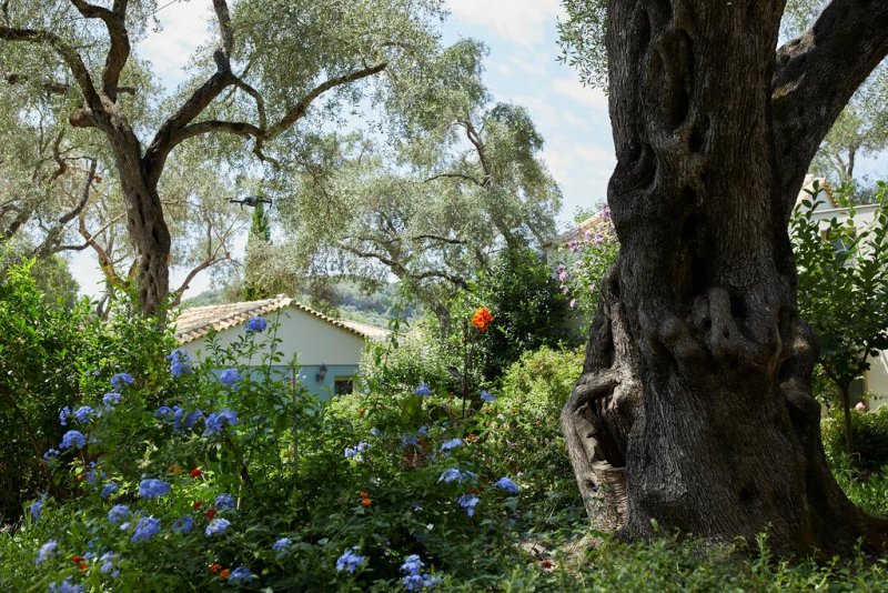 Parga Beach Resort - Снимка 9