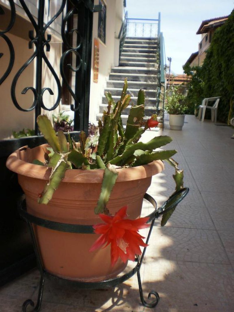 Alkionis Studios - Снимка 5