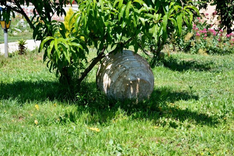 Vergina Star Hotel - Снимка 5