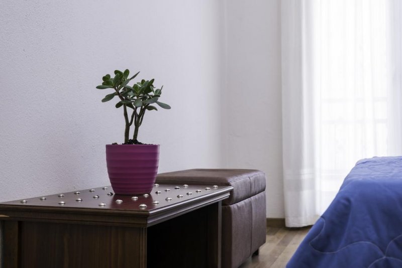 Hotel Olympion - Снимка 1