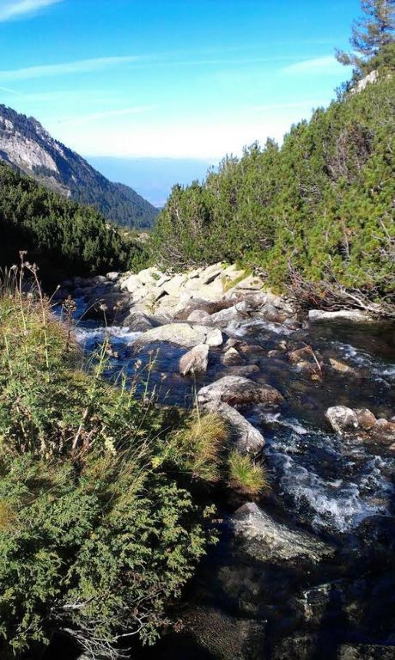 Хотел Четирилистна детелинa - Снимка 10