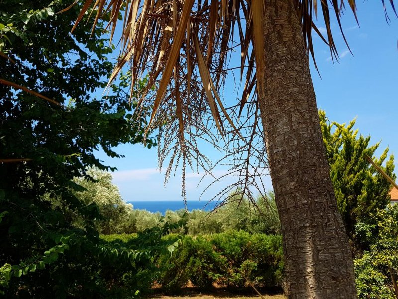 Agrili Apartments Resort - Снимка 8