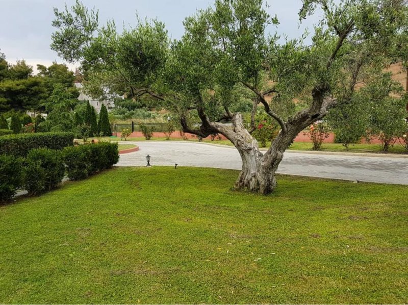 Agrili Apartments Resort - Снимка 8