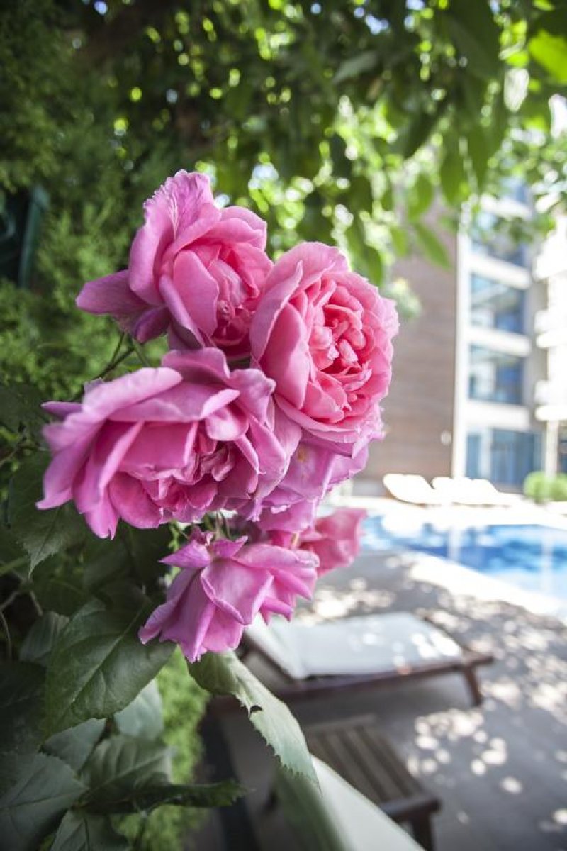 Апартхотел Сън Гейт - Снимка 2