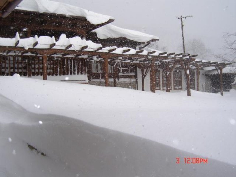 Къщата с лозницата - Снимка 1