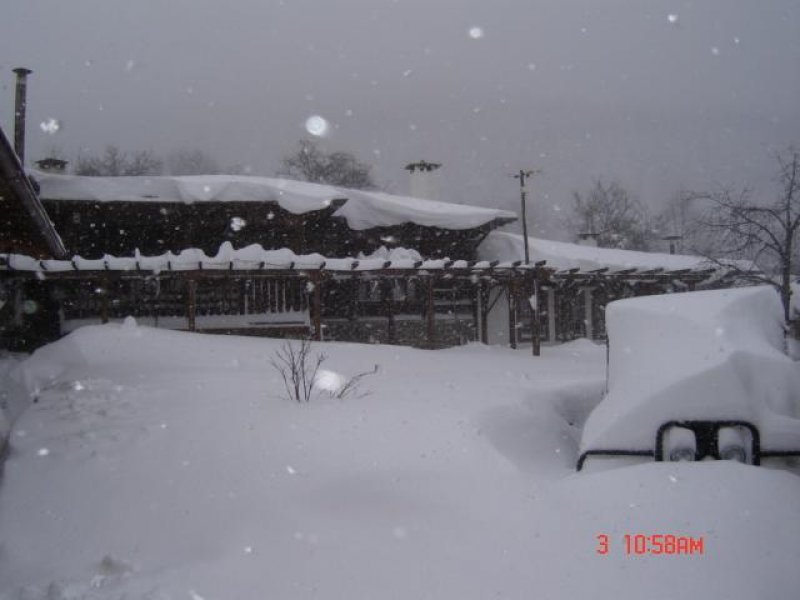 Къщата с лозницата - Снимка 11