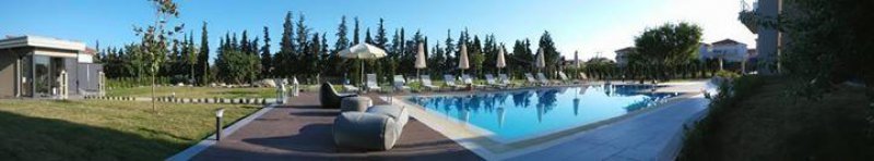 Olea Mare - Снимка 11